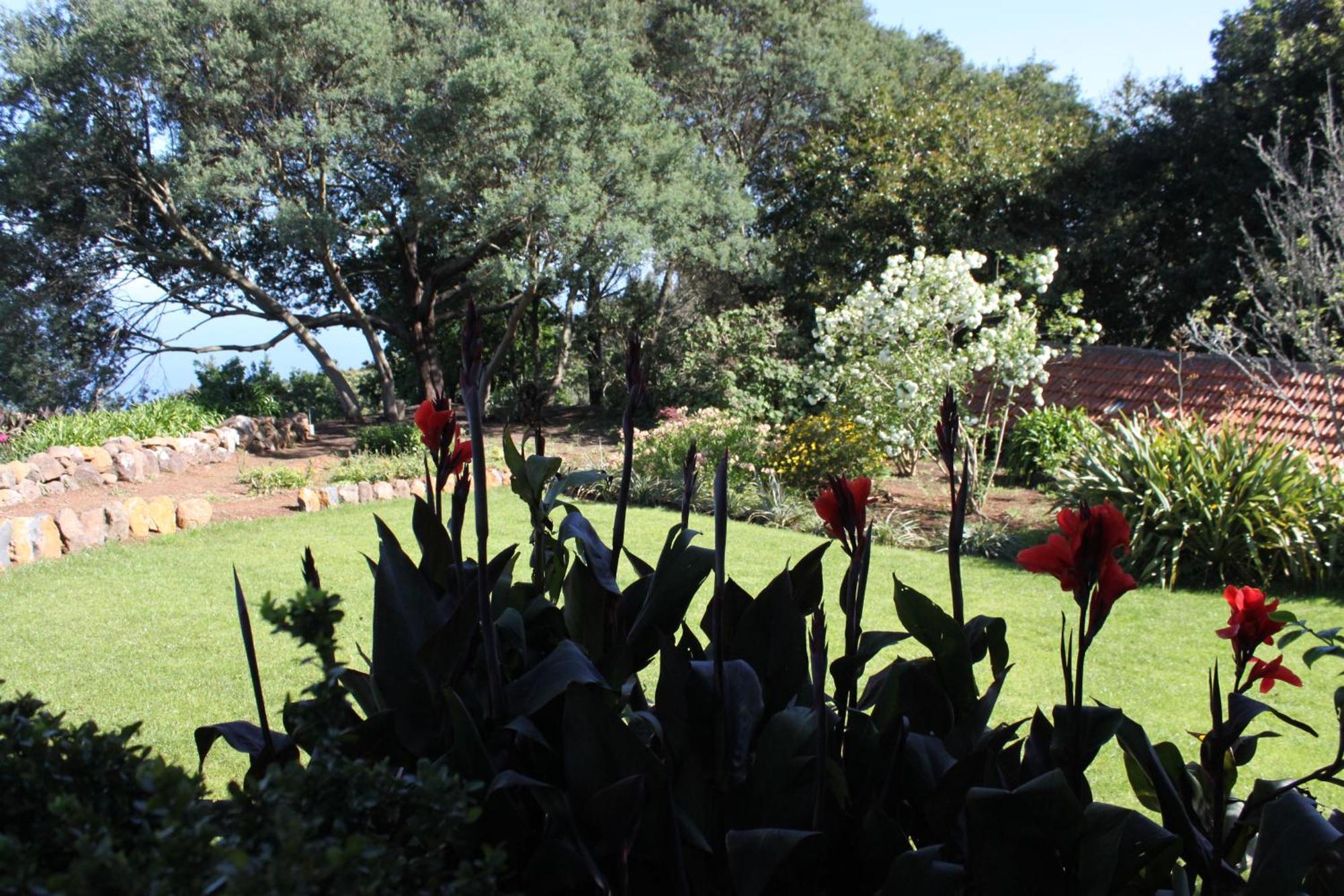 Quinta Das Faias Camacha  Habitación foto