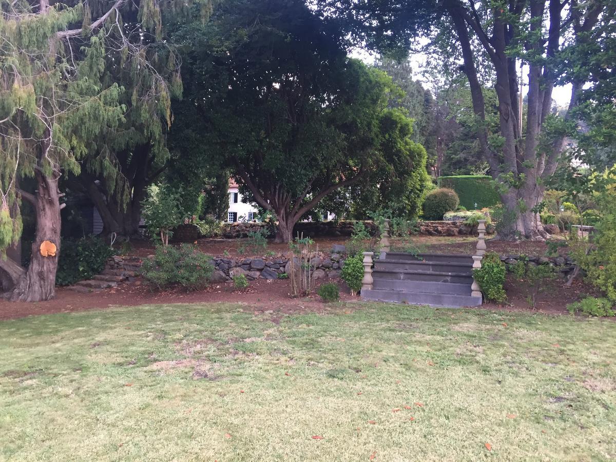 Quinta Das Faias Camacha  Exterior foto