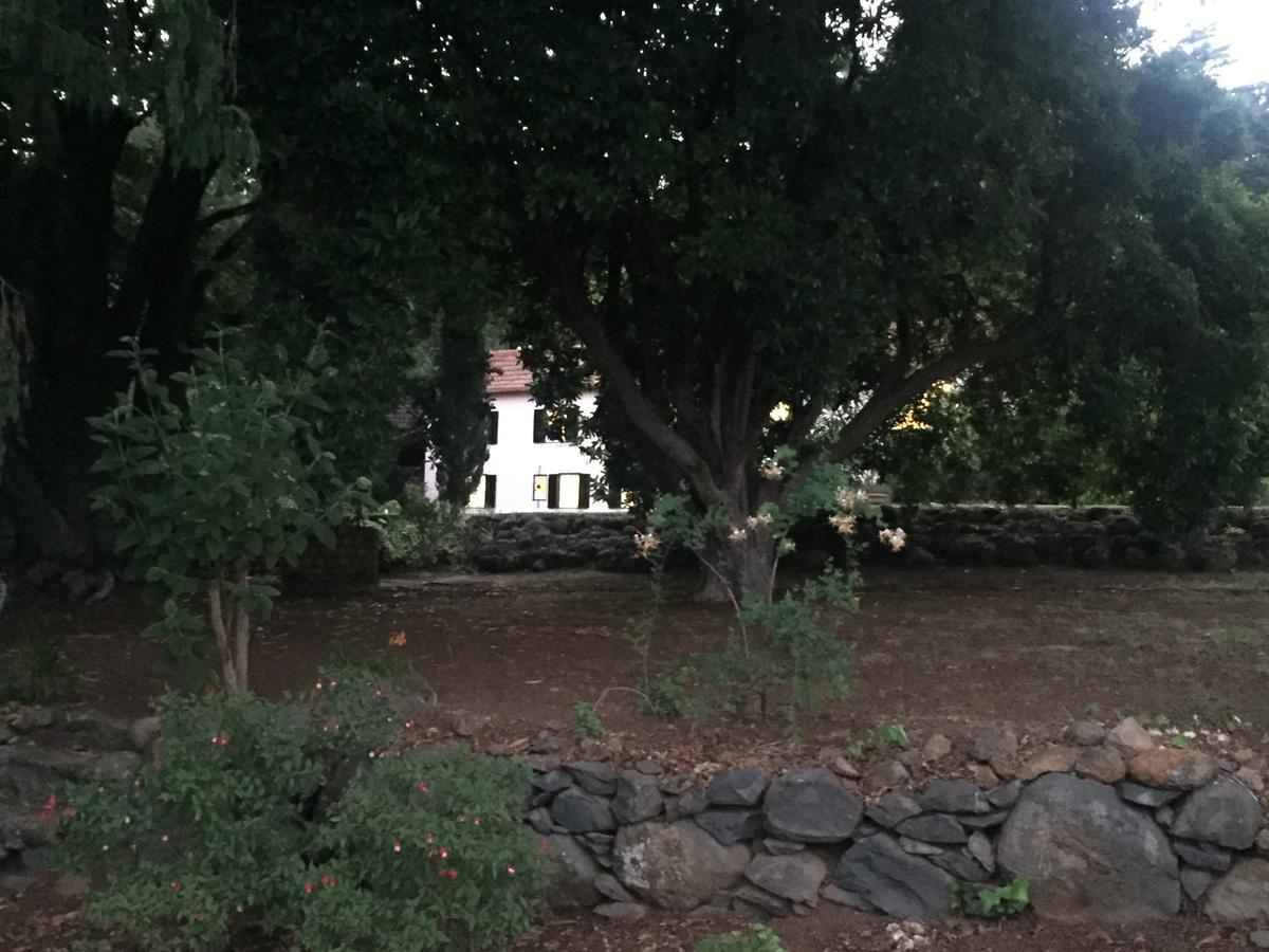 Quinta Das Faias Camacha  Exterior foto